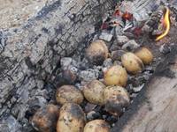 картошка на углях